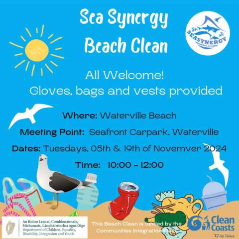Sea Synergy Beach Cleans
