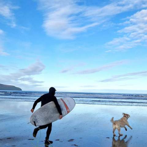 Gowlane Beach
