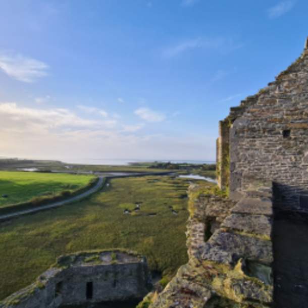 VISIT_Ballylongford_MOSAIC LANDSCAPE_Carrigfoyle_Castle_View_North_Kerry_Helen_Lane